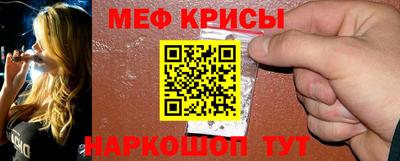 индика Можга