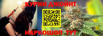 индика Можга