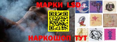индика Можга
