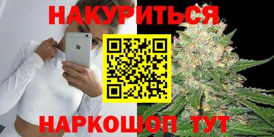 индика Можга