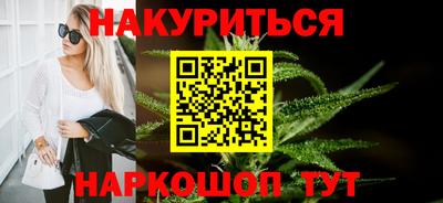 индика Можга