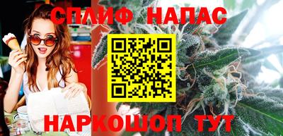 индика Можга