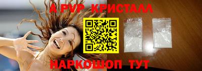 индика Можга