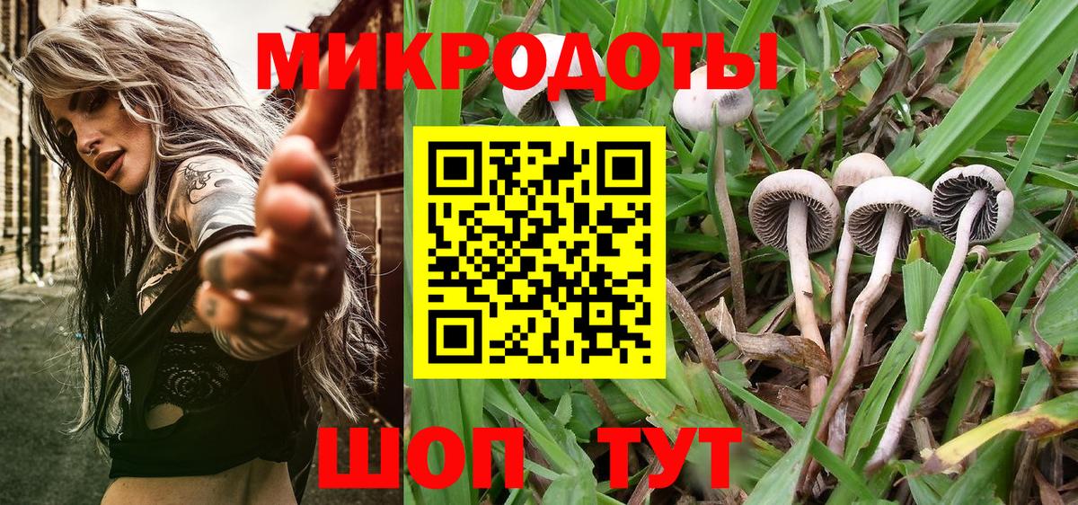 Псилоцибиновые грибы мухоморы  Вход с VPN  Псилоцибиновые грибы Magic Shrooms  Сухой Лог 